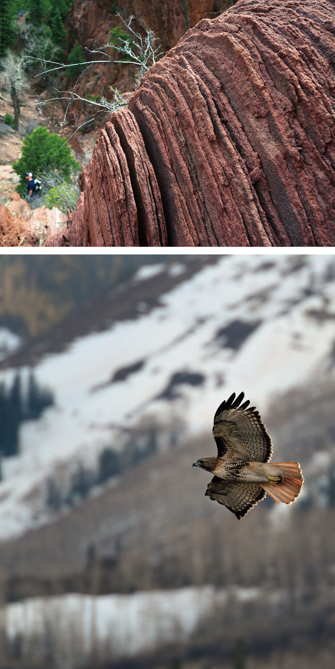 0713 fracking deal thompson divide rock bird rsafnb