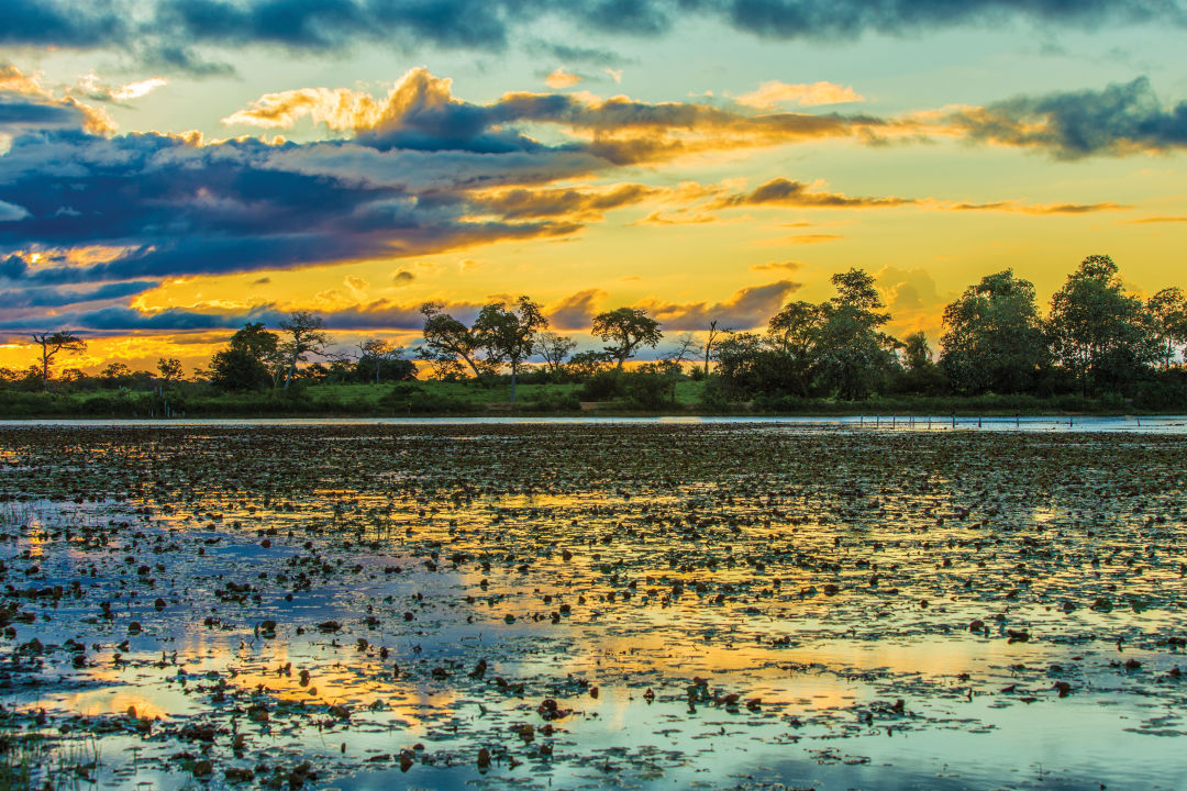 Everglades sunset qe8fpa