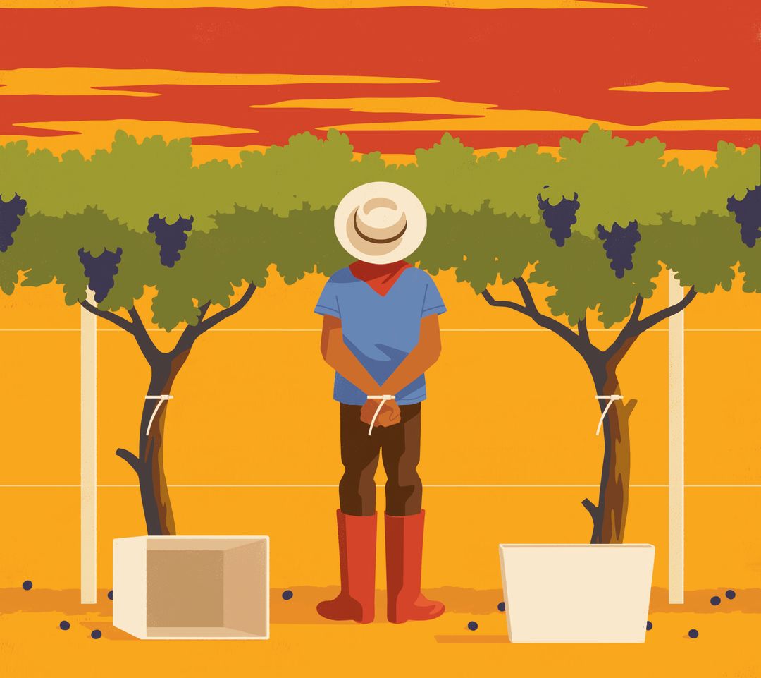 ice-raids-wine-country-willamette-valley-immigration_Chris-Gash_tatyla How Trump’s Immigration Crackdown Is Impacting Oregon Wine Country