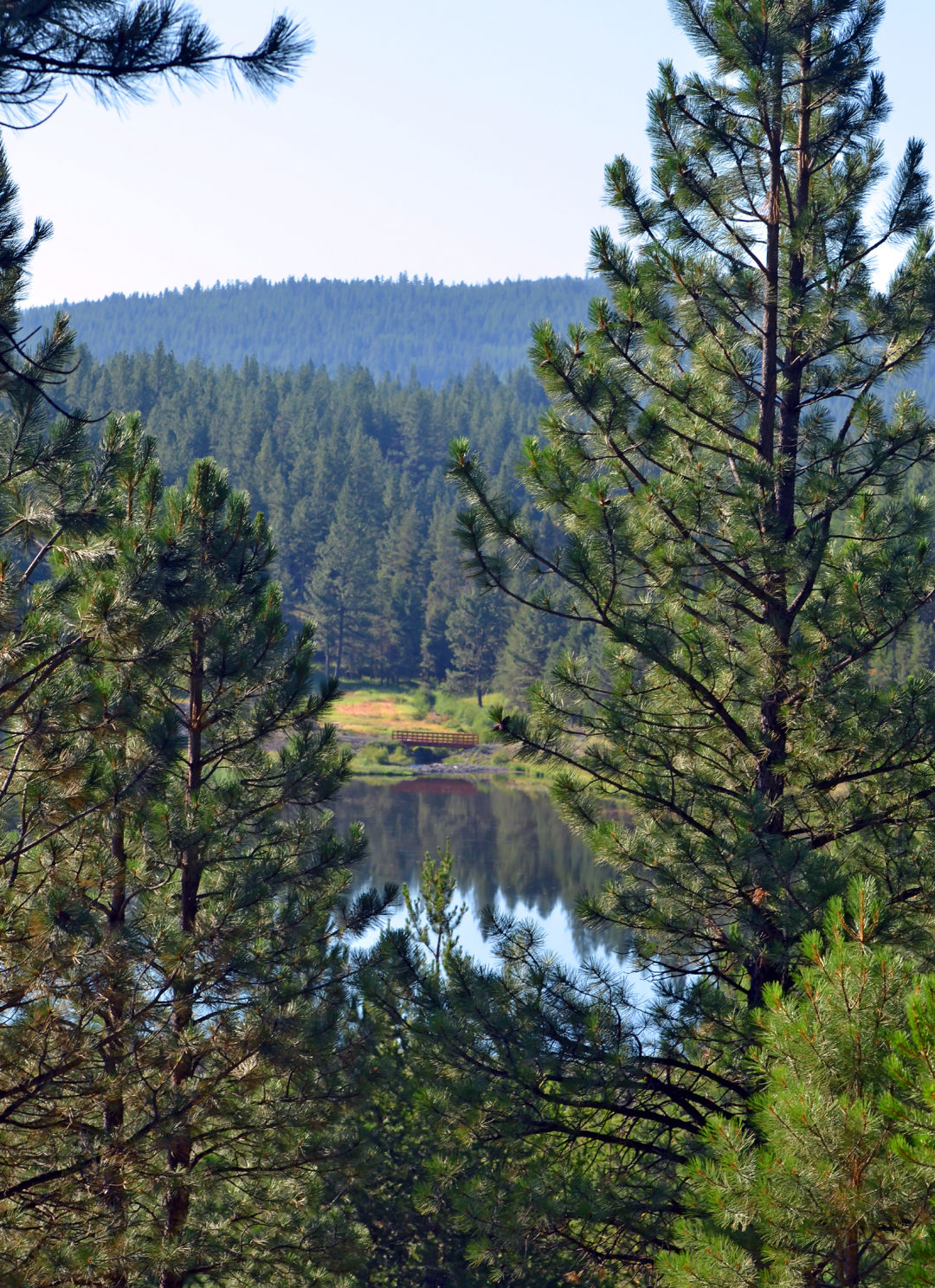 bates-best-camping-oregon_xyw8rt The Best First-Come-First-Served Campsites in Oregon