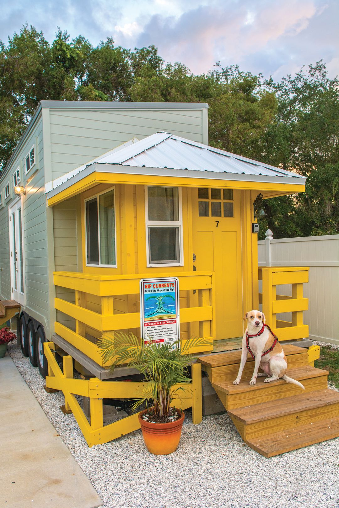 Tinyhouse yellowlifeguardwdog qhuzwz