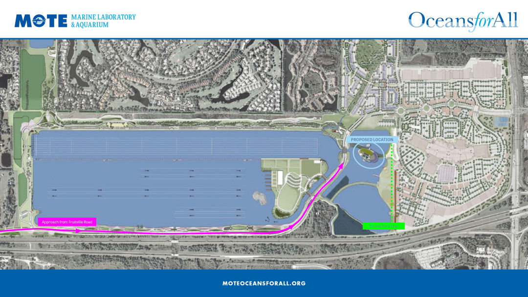 Motenewaquarium sitemap lghxcy