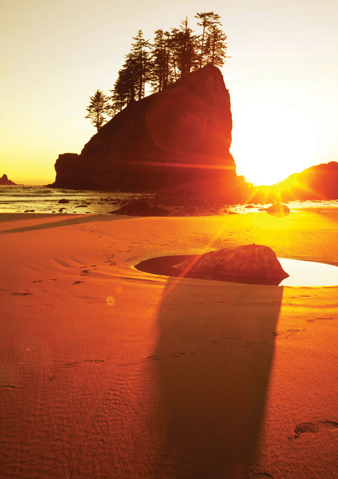 Galyna andrushko shutterstock 93317695 okq85i