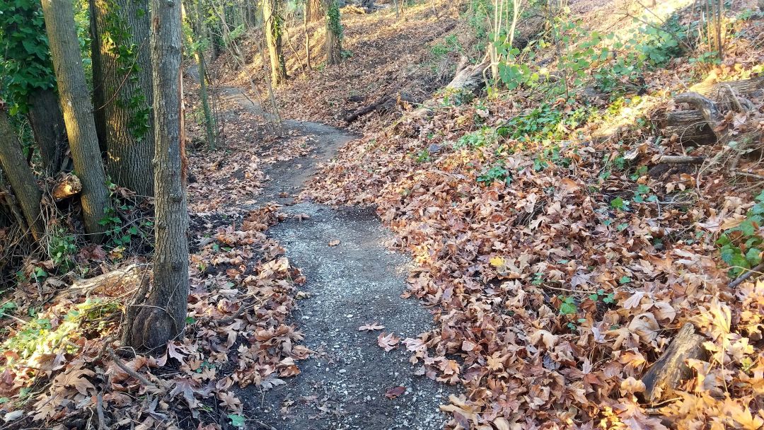 Gg trail segment in the wooded area uz4vdr