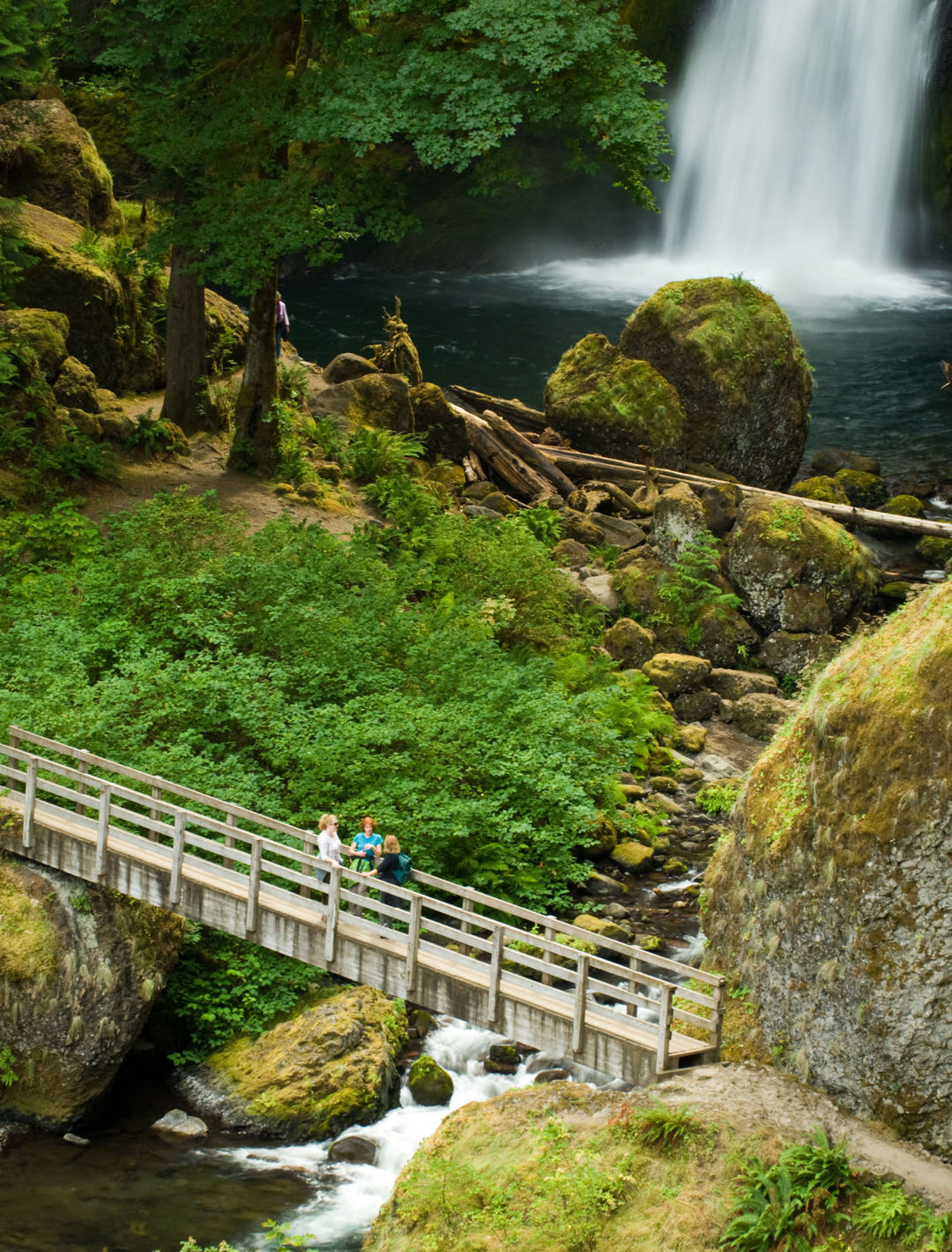 wahclella-falls-rainy-hike_BDRXAR_sgxhnw 6 Essential Rainy-Day Hikes Near Portland