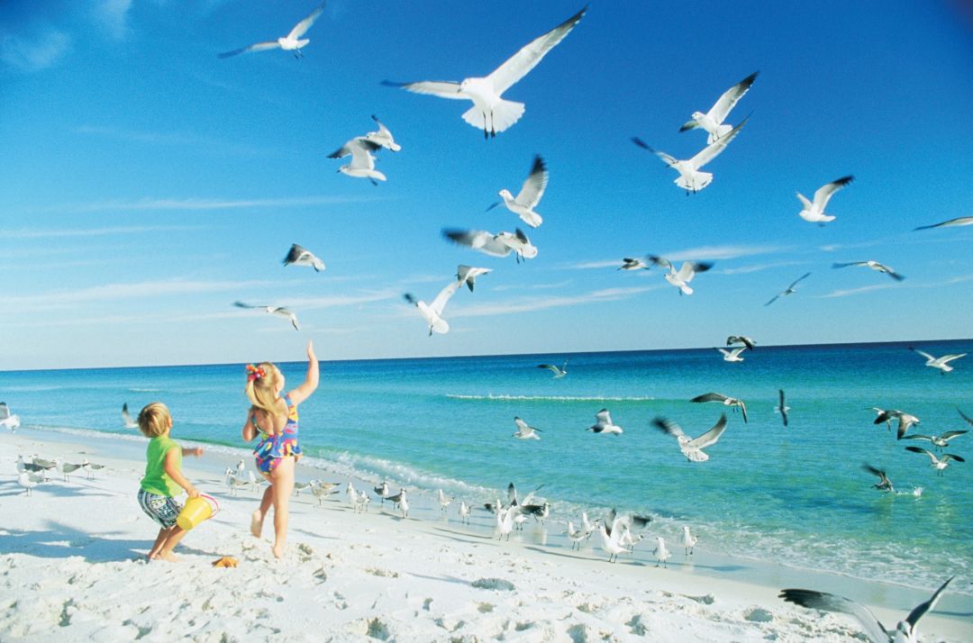 0217 family guide to florida national parks beach vjcozg