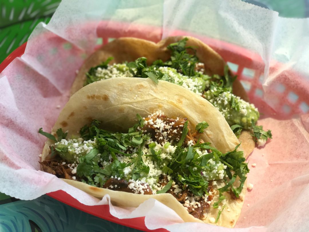 Tacodeli sqciae