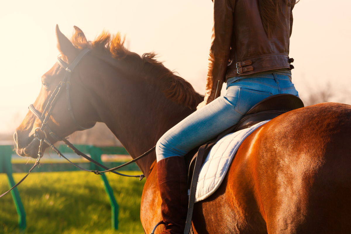 Let's Go Horseback Riding at Myakka River Trail Rides.