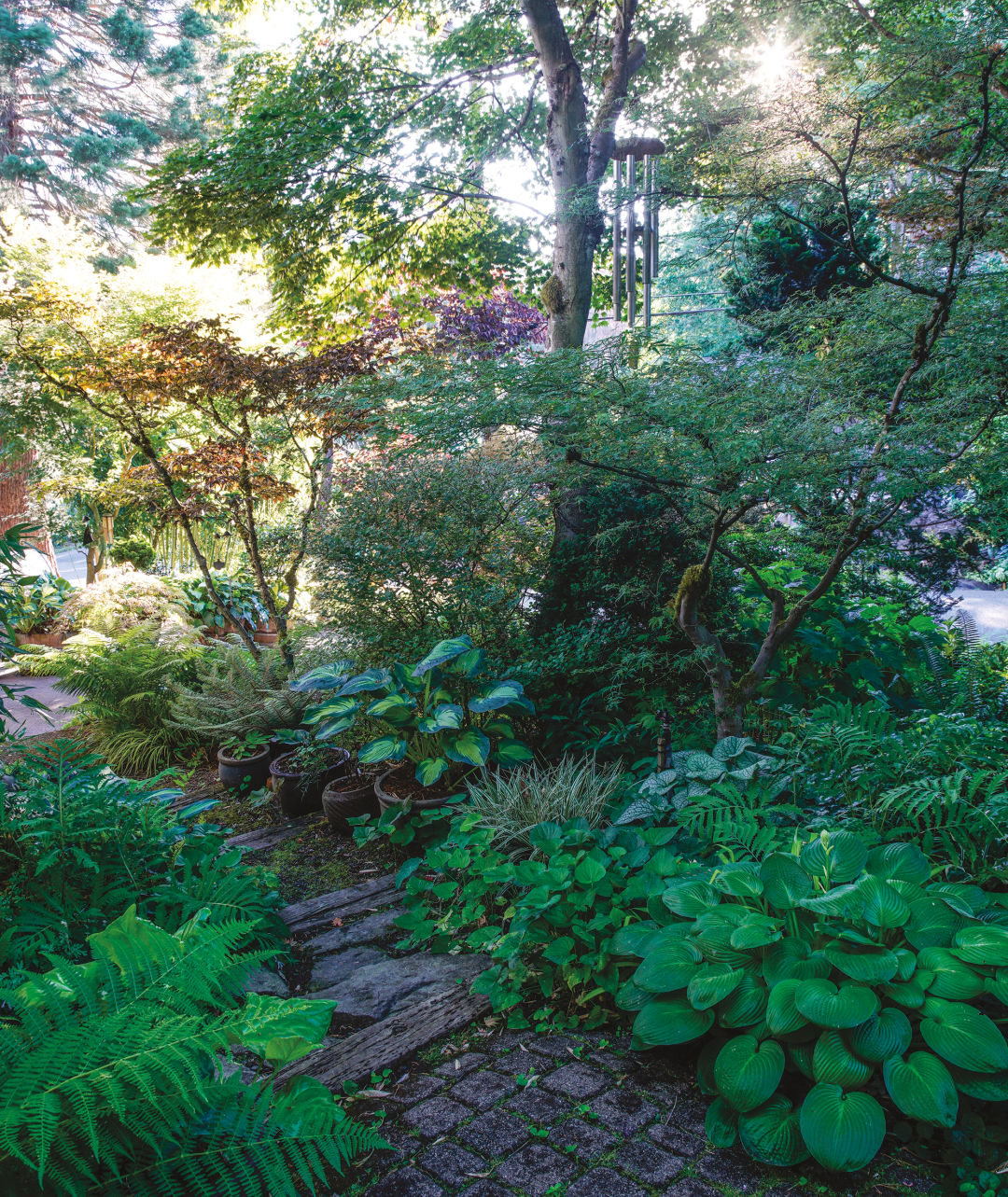 Make Your Garden a Shady Paradise | Portland Monthly