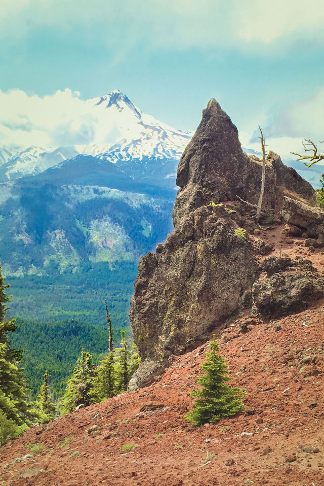 This Easy Hike Offers Oregon’s Best Mt Hood Views Portland Monthly