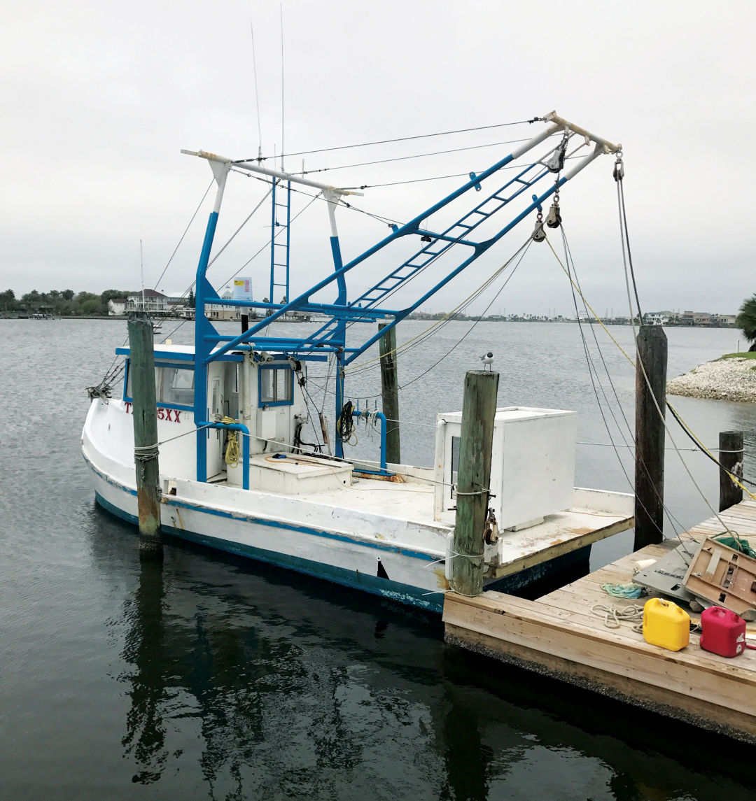 0617 icehouse gulf shrimp galveston darlene ql2mcp