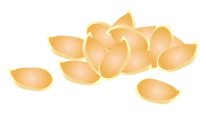 Pumpkin seeds illo apxqur