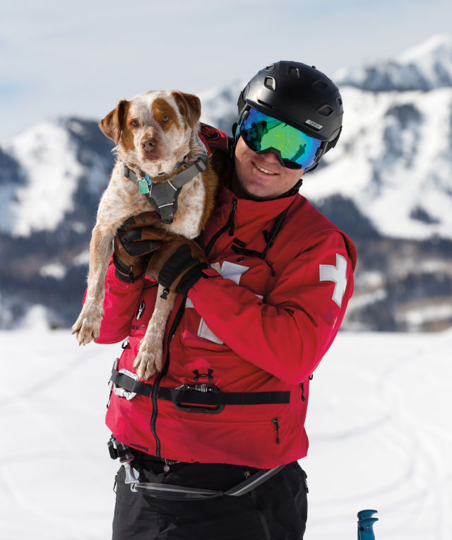 Mark Chytka, Avy Dog Coordinator