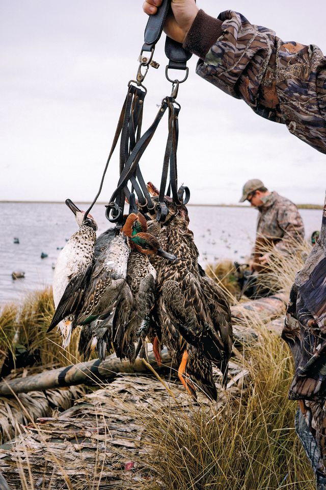 Anahuac nwr duck hunting