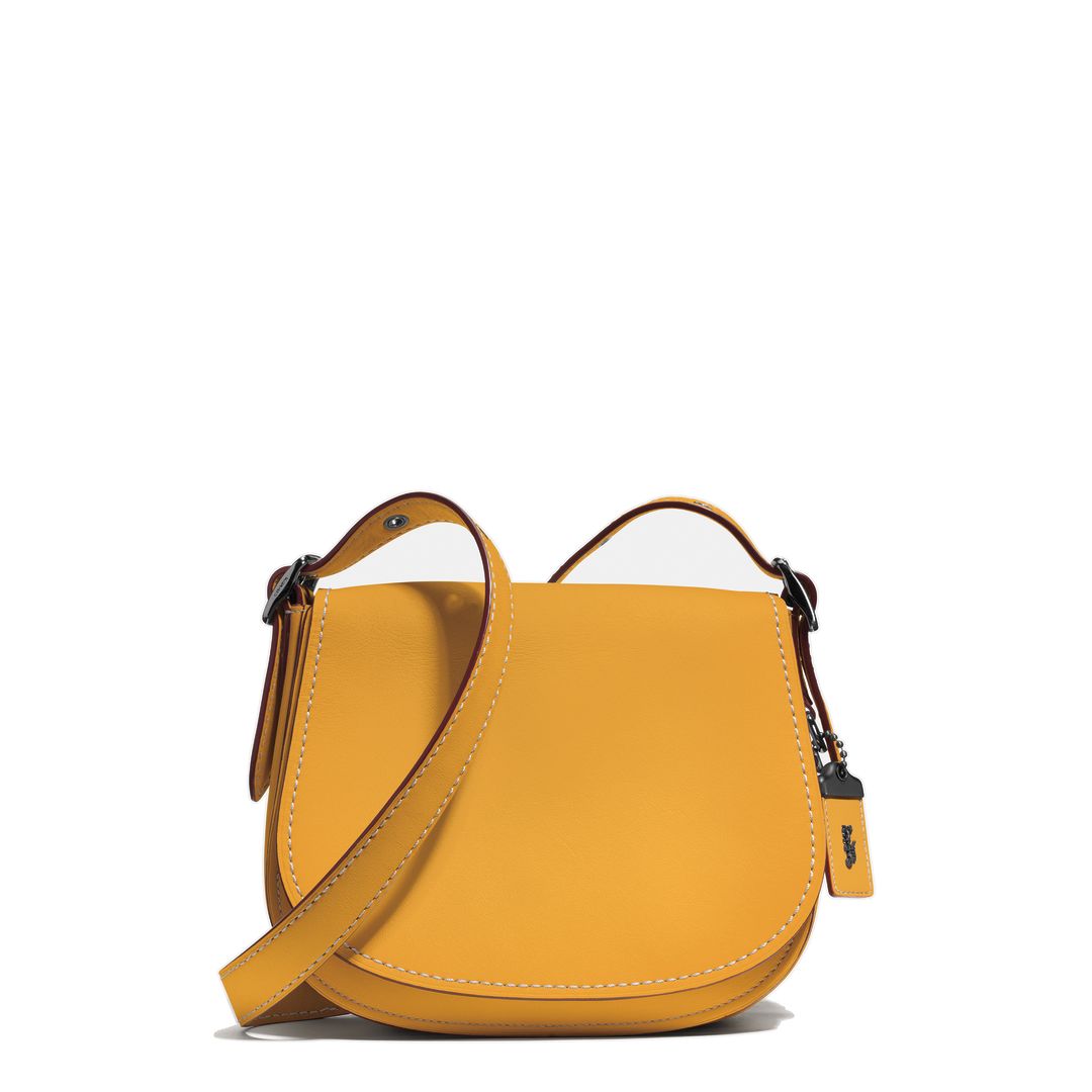 Coach Saddle Bag | Seattle Met