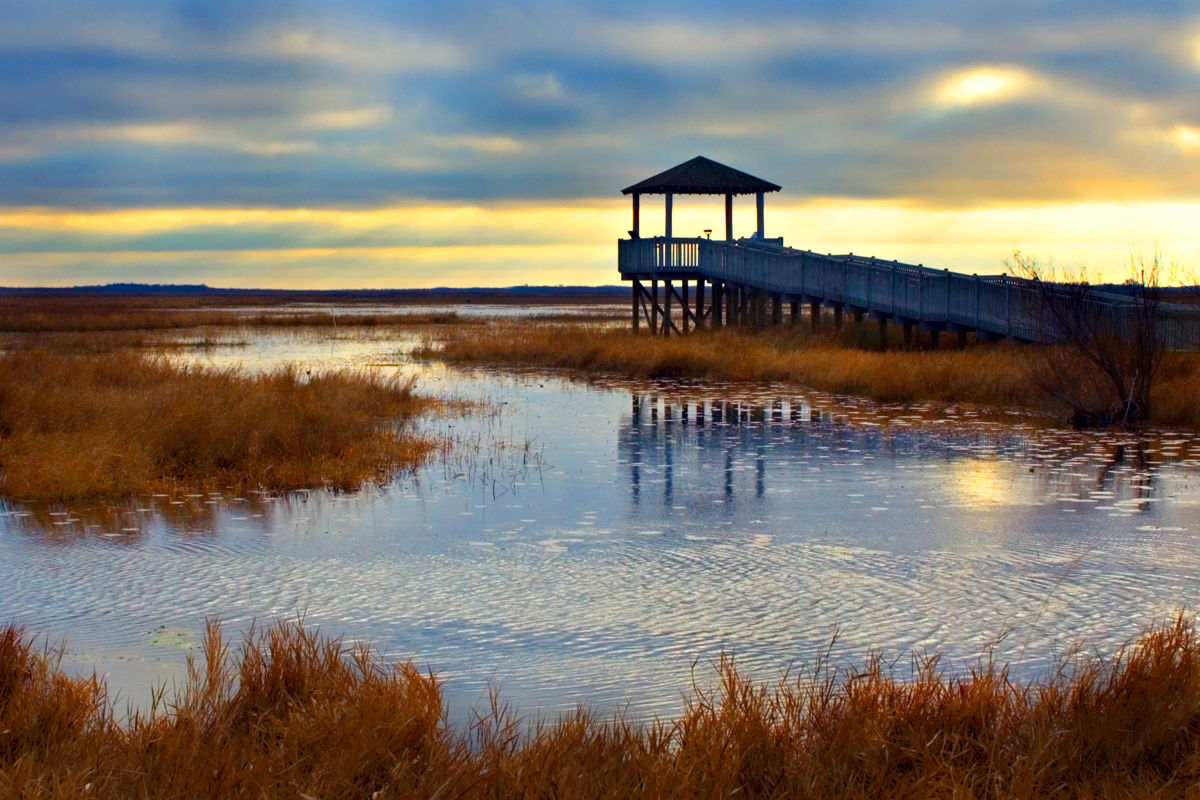 From authentic Cajun cuisine, culture, music and attractions, Lake Charles ...