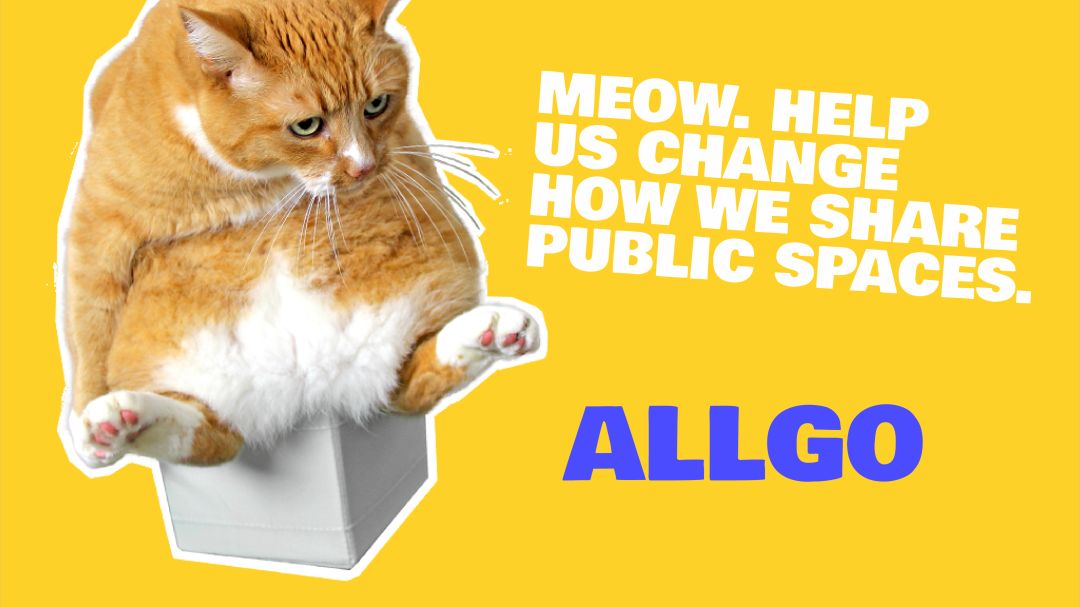 Allgo cat graphic i2i4cn