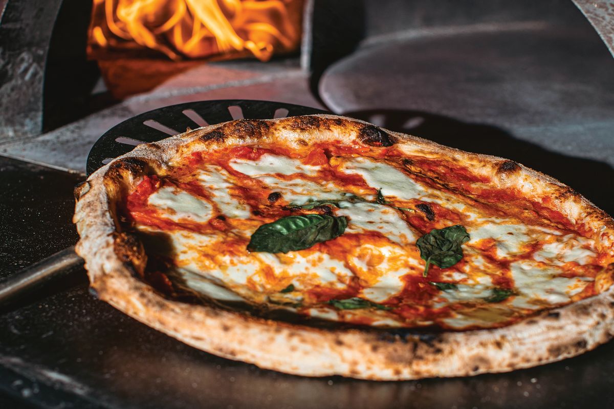 Best Dining Sarasota
    A Culinary Journey Through Sarasotas Hidden Gems, Beachside, Neighborhoods, and More