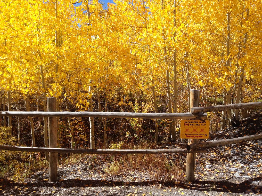 Behind the sign trail mine fall aspen trail finder poxva0