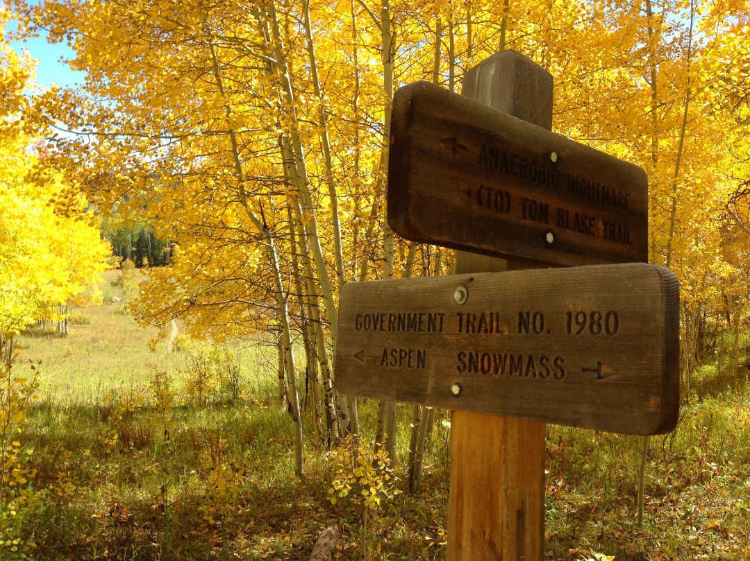 Government trail sign fall aspen trail finder dc3fbh