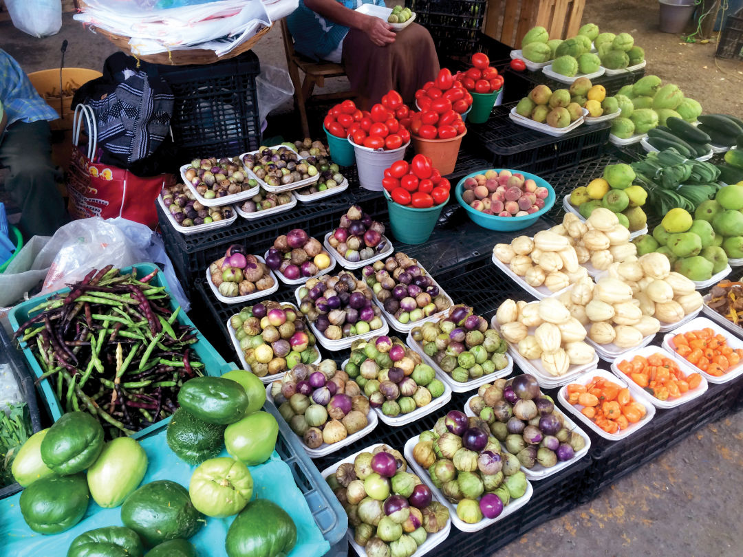 1216 mexico feature mole oaxaca farmers market qaebrq