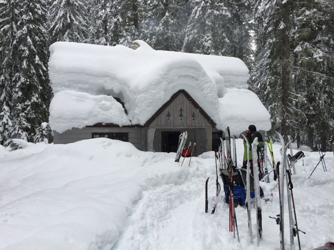 New peterson cabin feb 2017 1 1 zbagnb