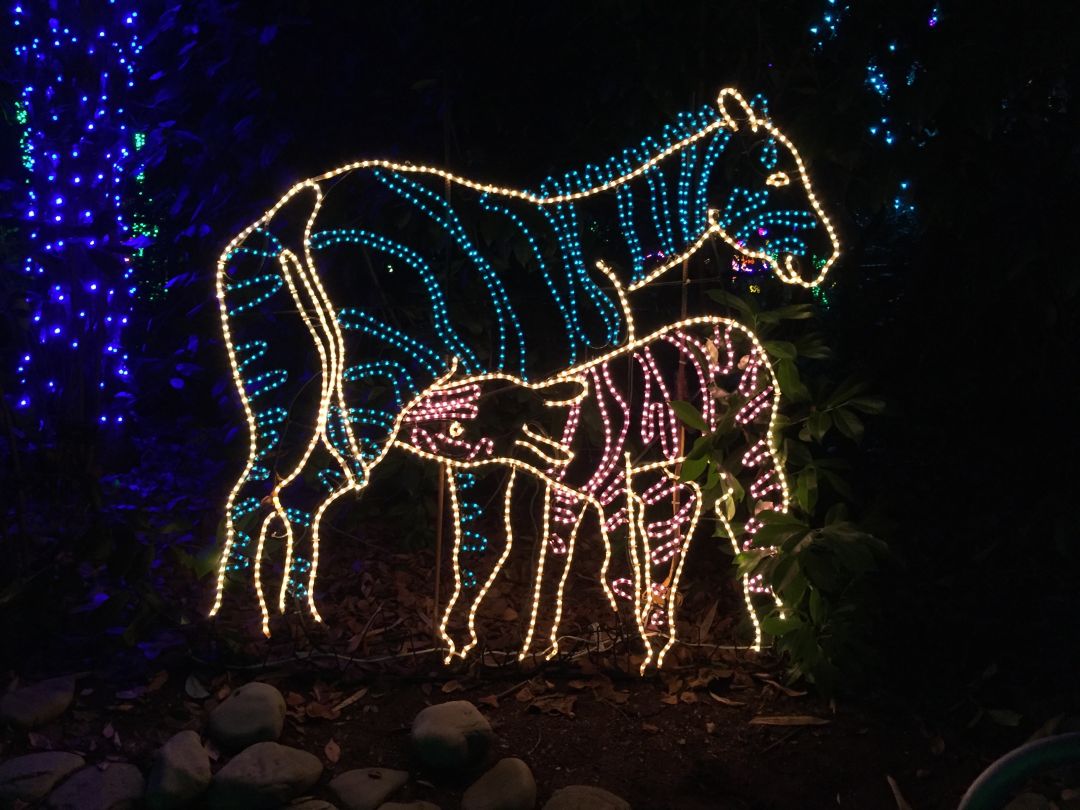 Donde las luces navideñas brillan en Portland, y donde no están Mark