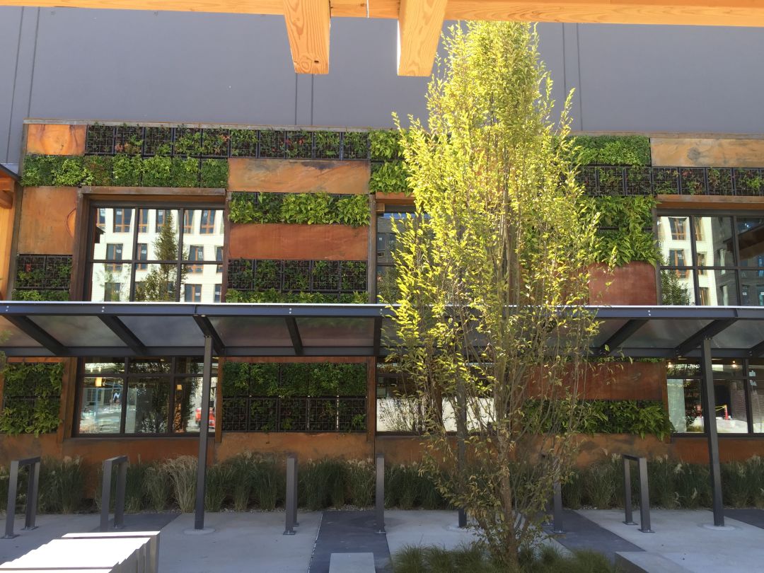 Green wall one of many sustainable features nkuynk