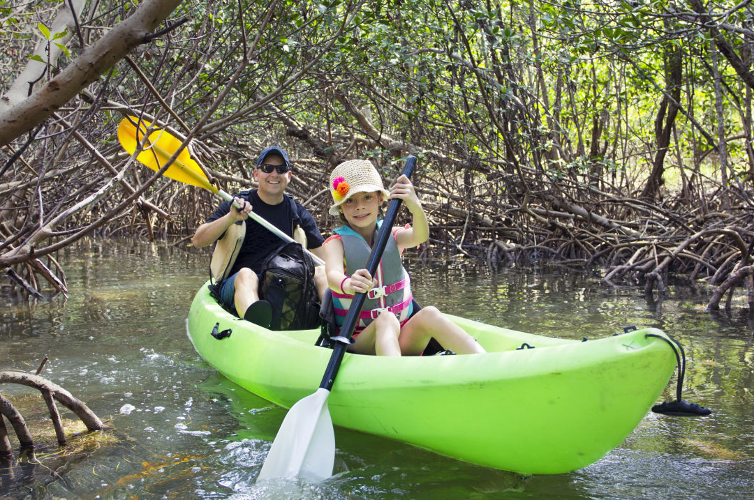 0217 family guide to florida kayaking everglades ysmuu1