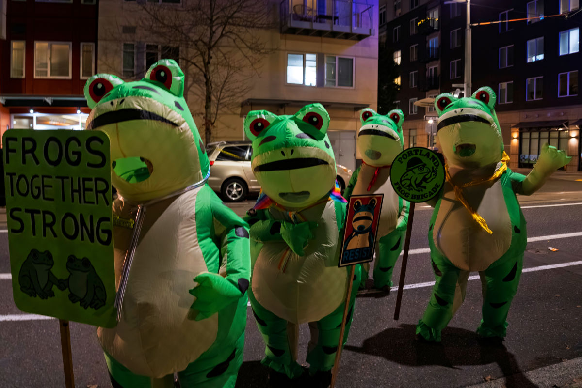 Portland Protests, by the Numbers