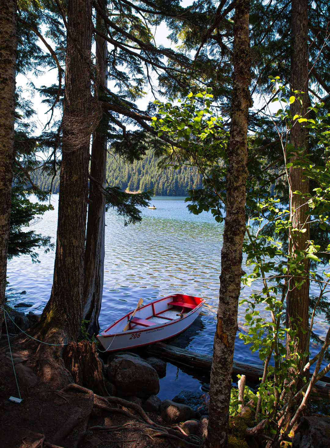 lost-lake-camping-oregon_michael-novak_owoavd The Best First-Come-First-Served Campsites in Oregon