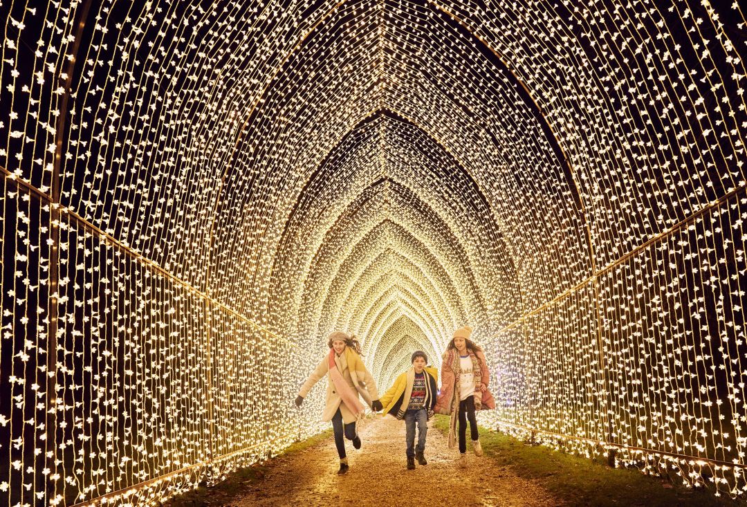 Add Houston Botanic Garden to Your Holiday Lights Bucket List Houstonia Magazine