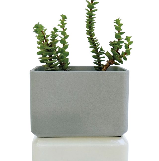 Pomoda 16 trophy case sill planter btgowu