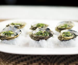 Bivalves cqiwxx