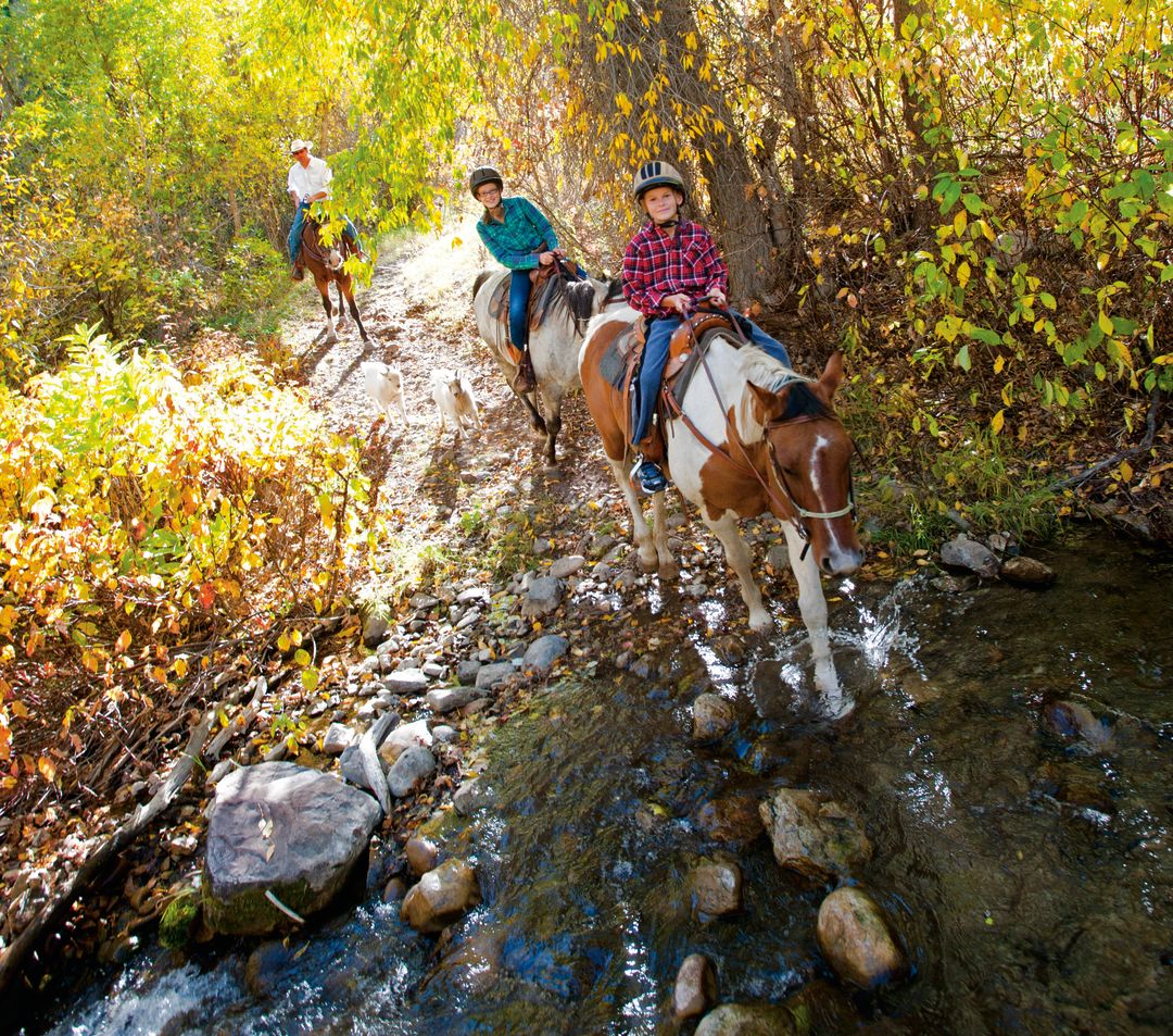 Park city summer 2012 horses kids riding cabxnq