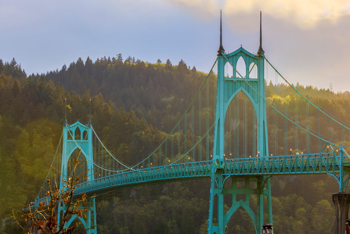 Hiking by Bus in Forest Park