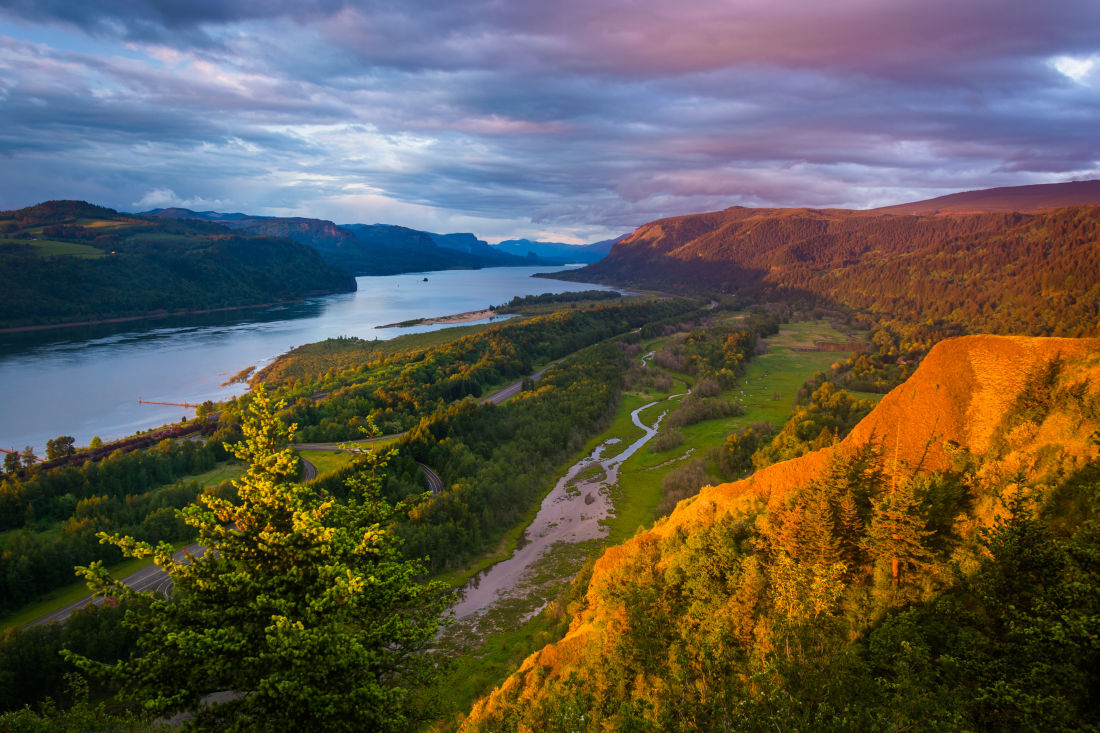 Wineries Worth Visiting In The Columbia River Gorge Portland Monthly