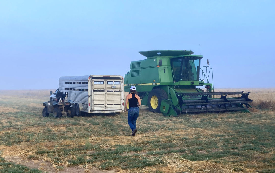 Summer Camp for Bakers at an Oregon Flour Mill Portland Monthly