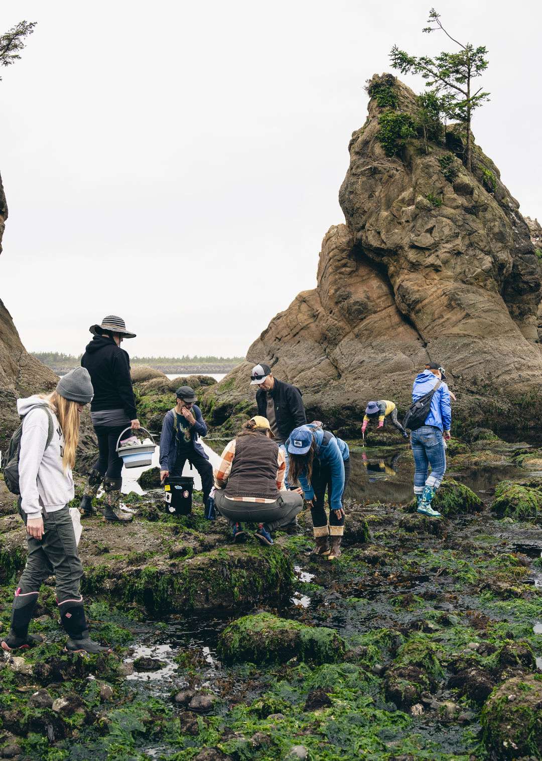 oregon-seaweed-alanna_kieffer-aquaculture-coast_xengvq Meet Oregon Coast Seaweed Farmer and Marine Educator Alanna Kieffer