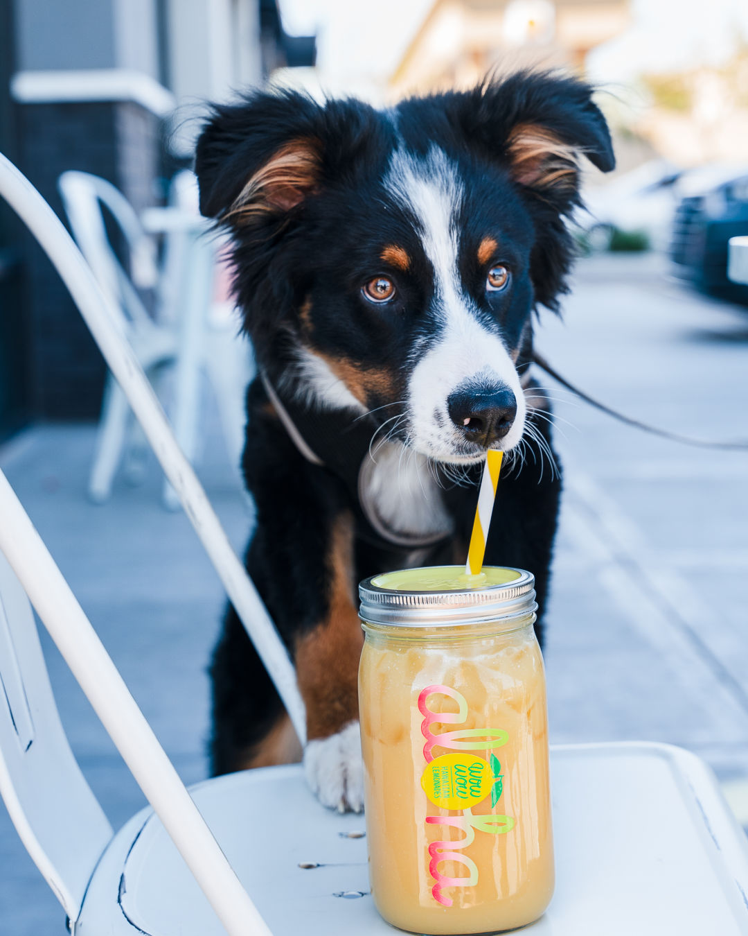 A happy customer at Wow Wow Hawaiian Lemonade.