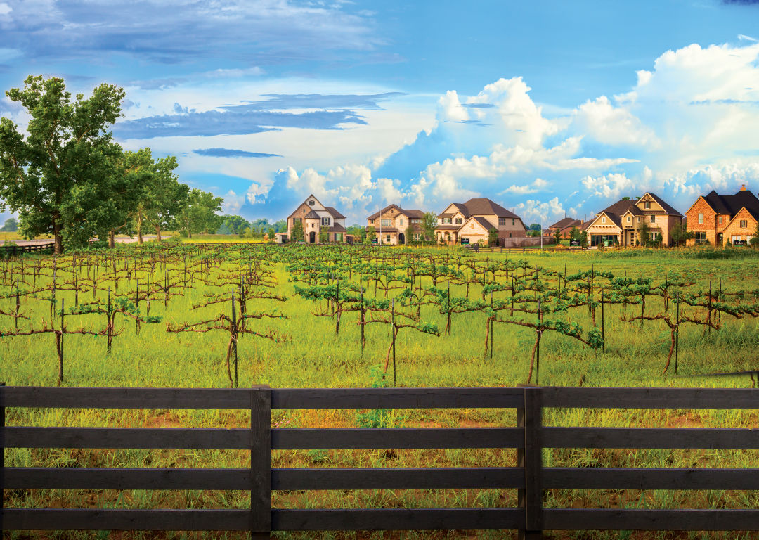 Vineyard homes mlydg3