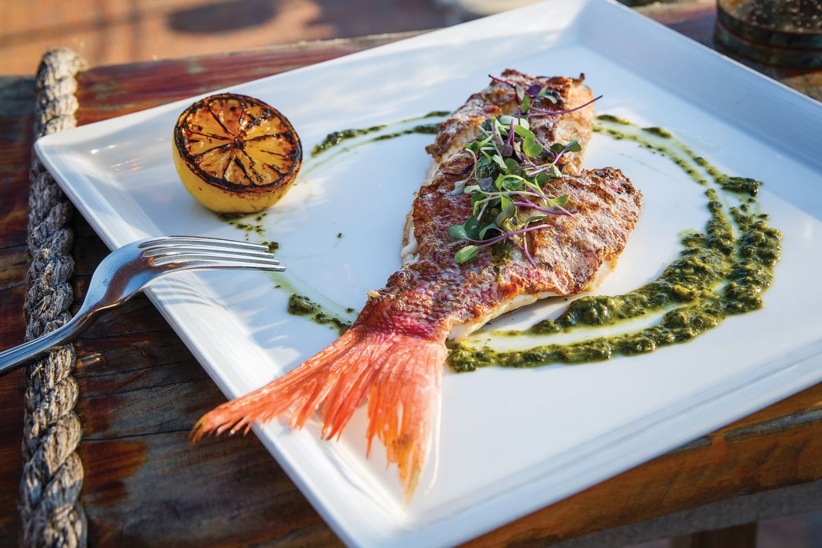 Four Spots for the Freshest Fish in Galveston (and One in Bolivar