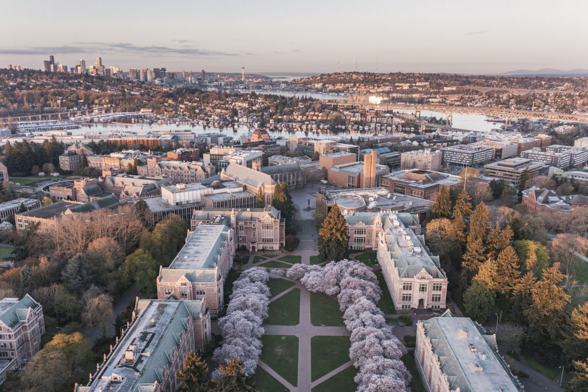 Viewing Guide for the UW Cherry Blossoms in Seattle 2023 Seattle Met