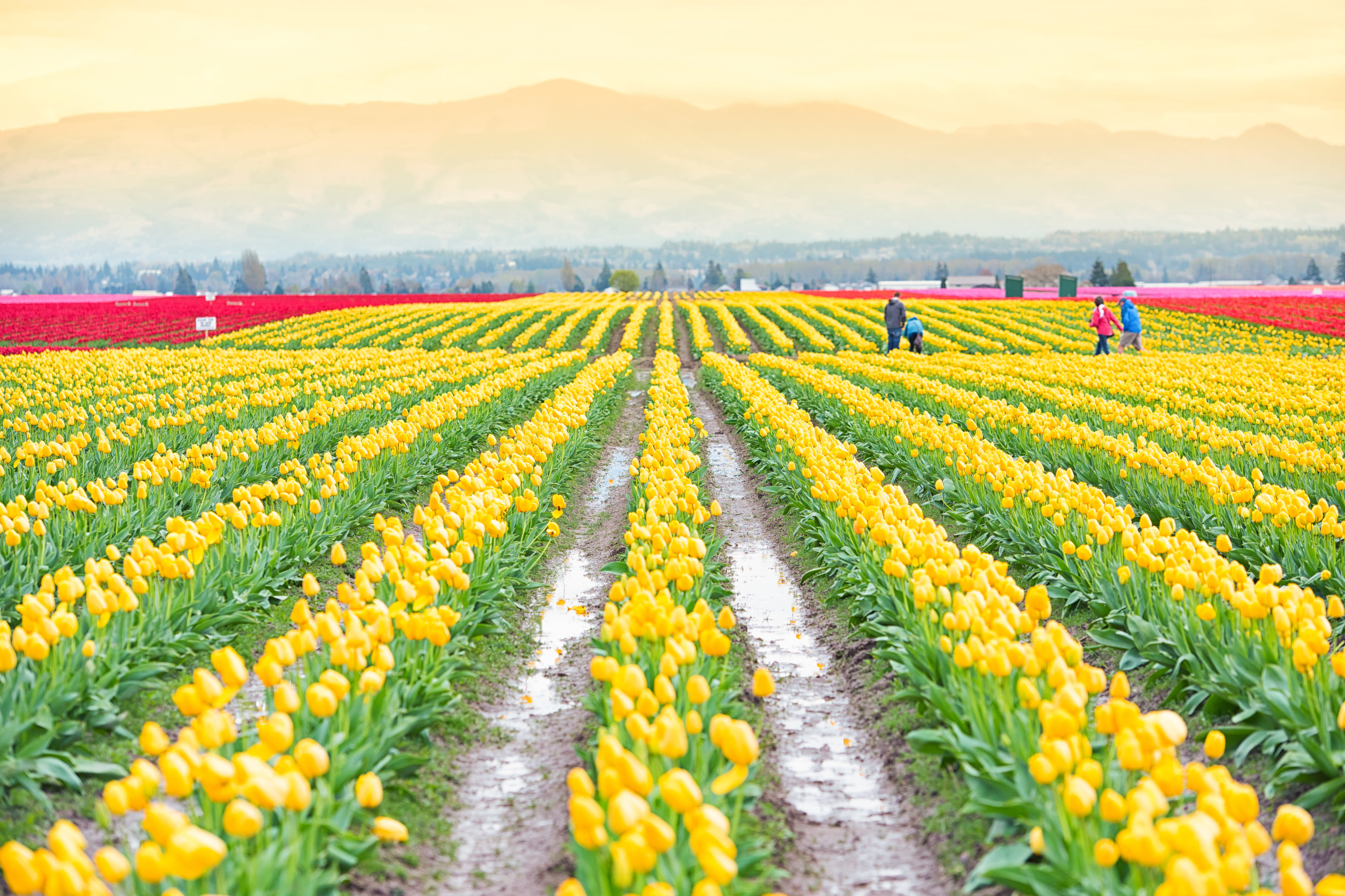 places to visit in washington state in may