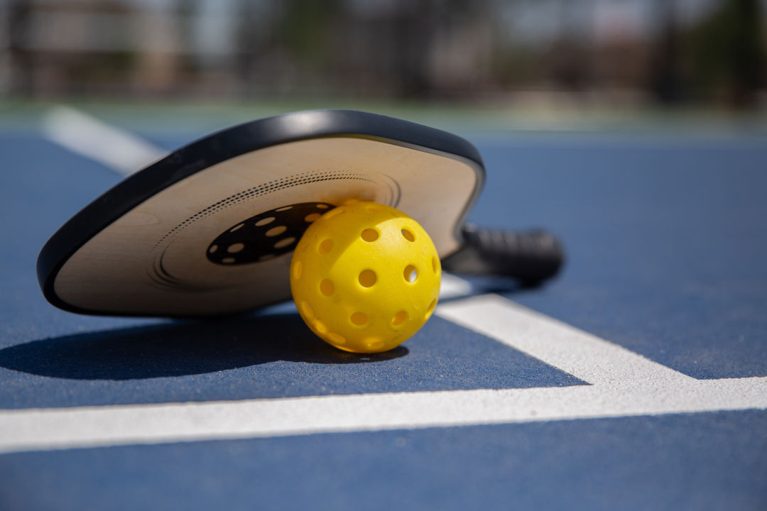 backyard pickleball court