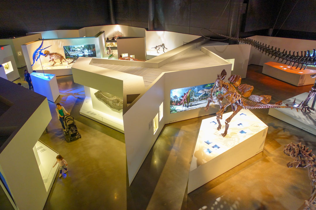 Houston Museum of Natural Science Announces Furloughs and Salary Cuts