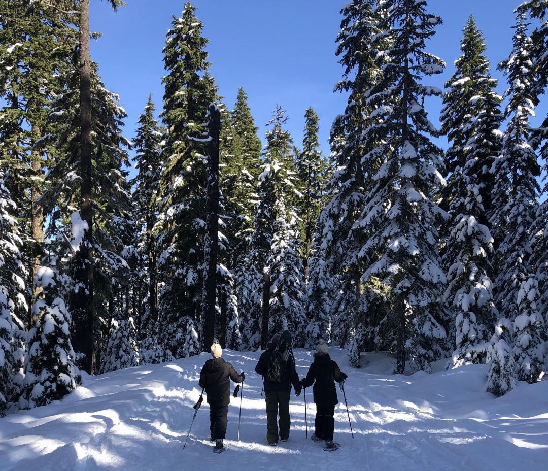 Snowshoeing at Bennett Pass Sno=Park