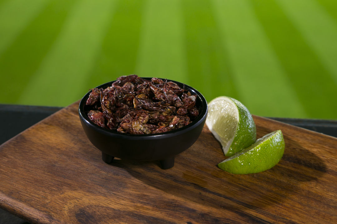 Poquitos oaxacan chapulines nyhjfl