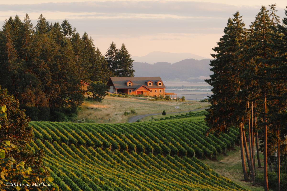 Bees Birds And Pinot Take Center Stage At Winter S Hill Estate