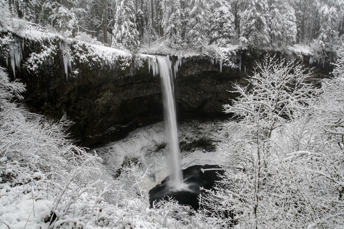 Guided First Day Hikes Are Back at Oregon State Parks - Vimarsana News